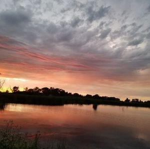 Meet your Posher, Ron